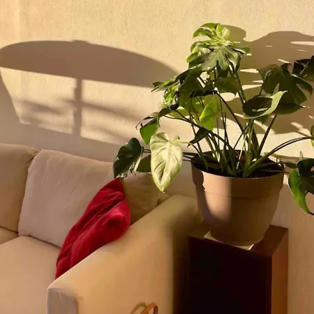 Calme Et Bien Decore Apartament Chamalières